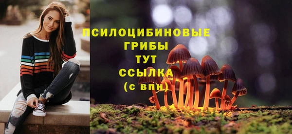 молекула духа Володарск